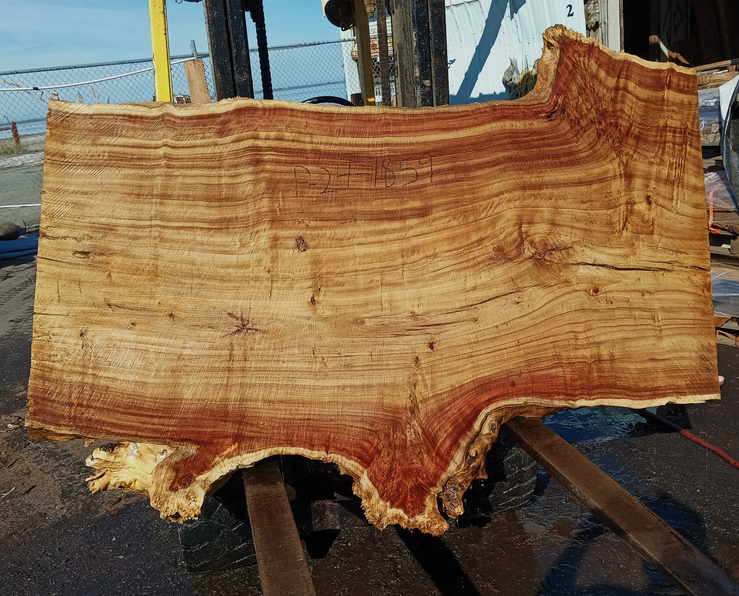 Mappa Burl | River Table | Live Edge | Desk | p24-1859