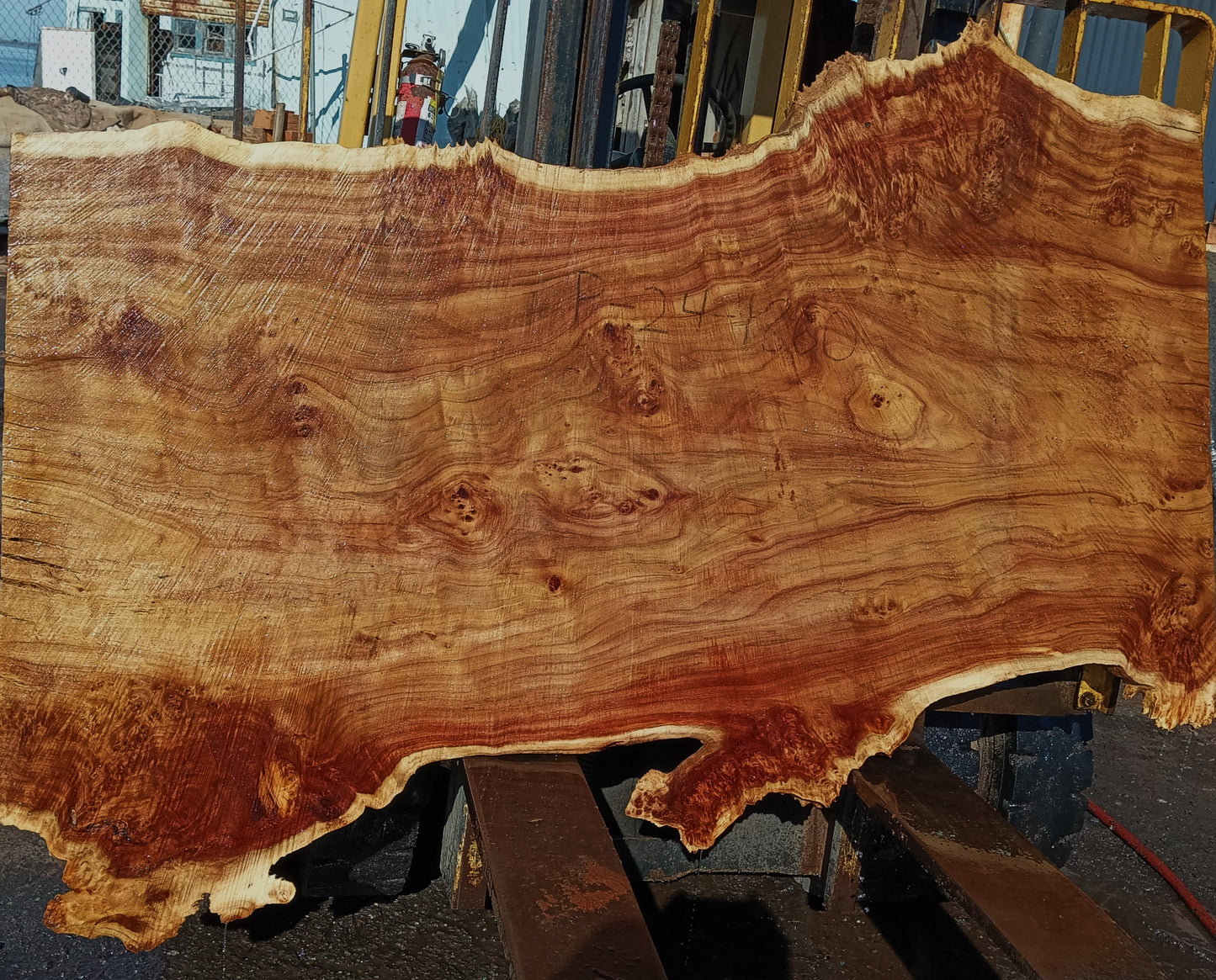 Mappa Burl | Poplar | River Table | Live Edge | DIY | p24-1860