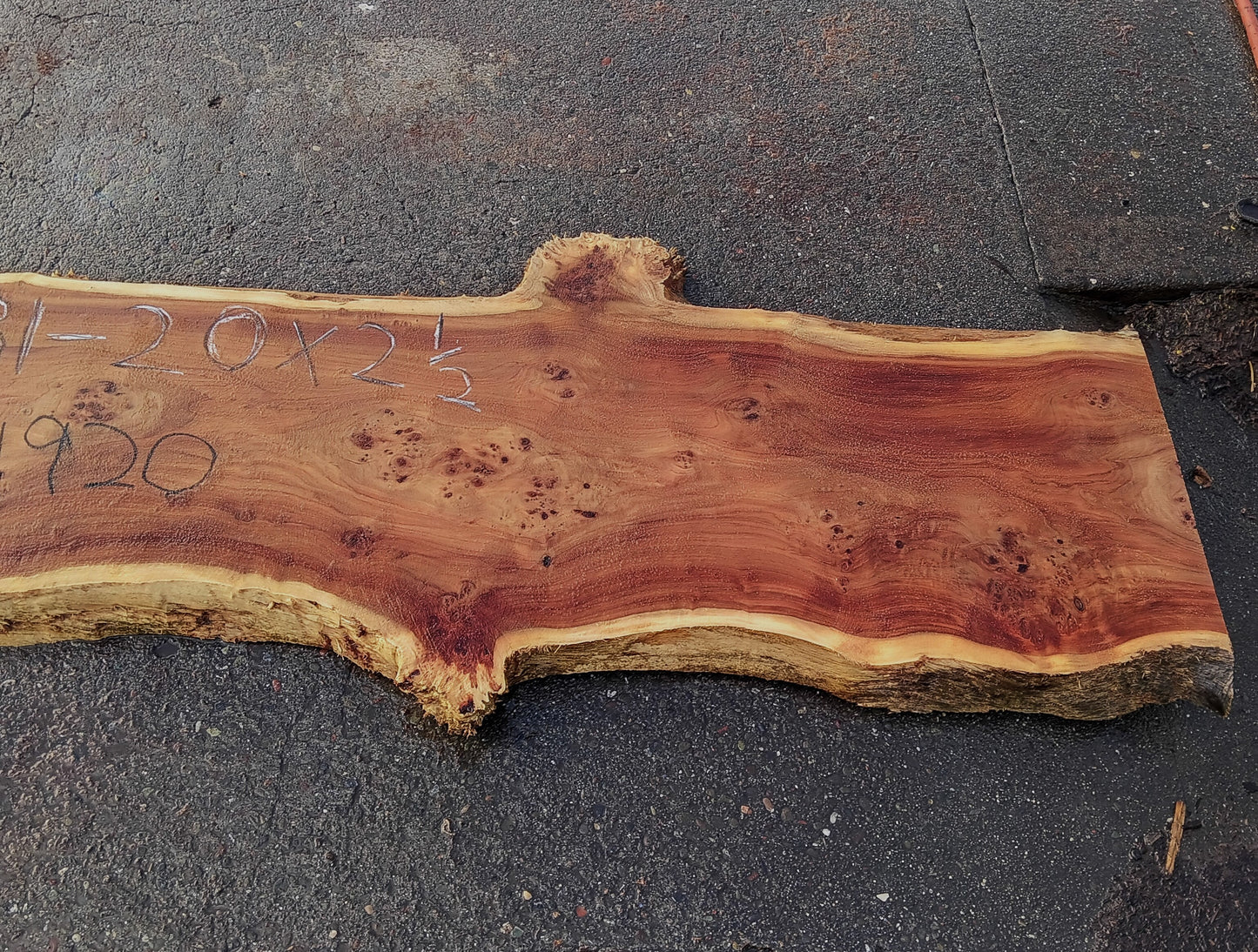 Mappa Burl | Poplar | River Table | Live Edge | P24-1920