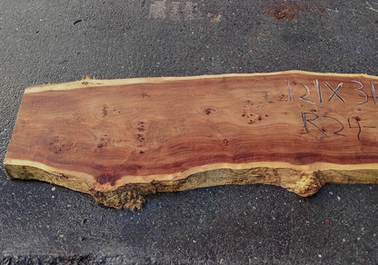 Mappa Burl | Poplar | River Table | Live Edge | P24-1920