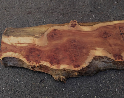 MappaBurl | Poplar | Burl Slab | River Table | P24-1921