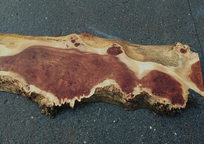 MappaBurl | Poplar | Burl Slab | River Table | P24-1921