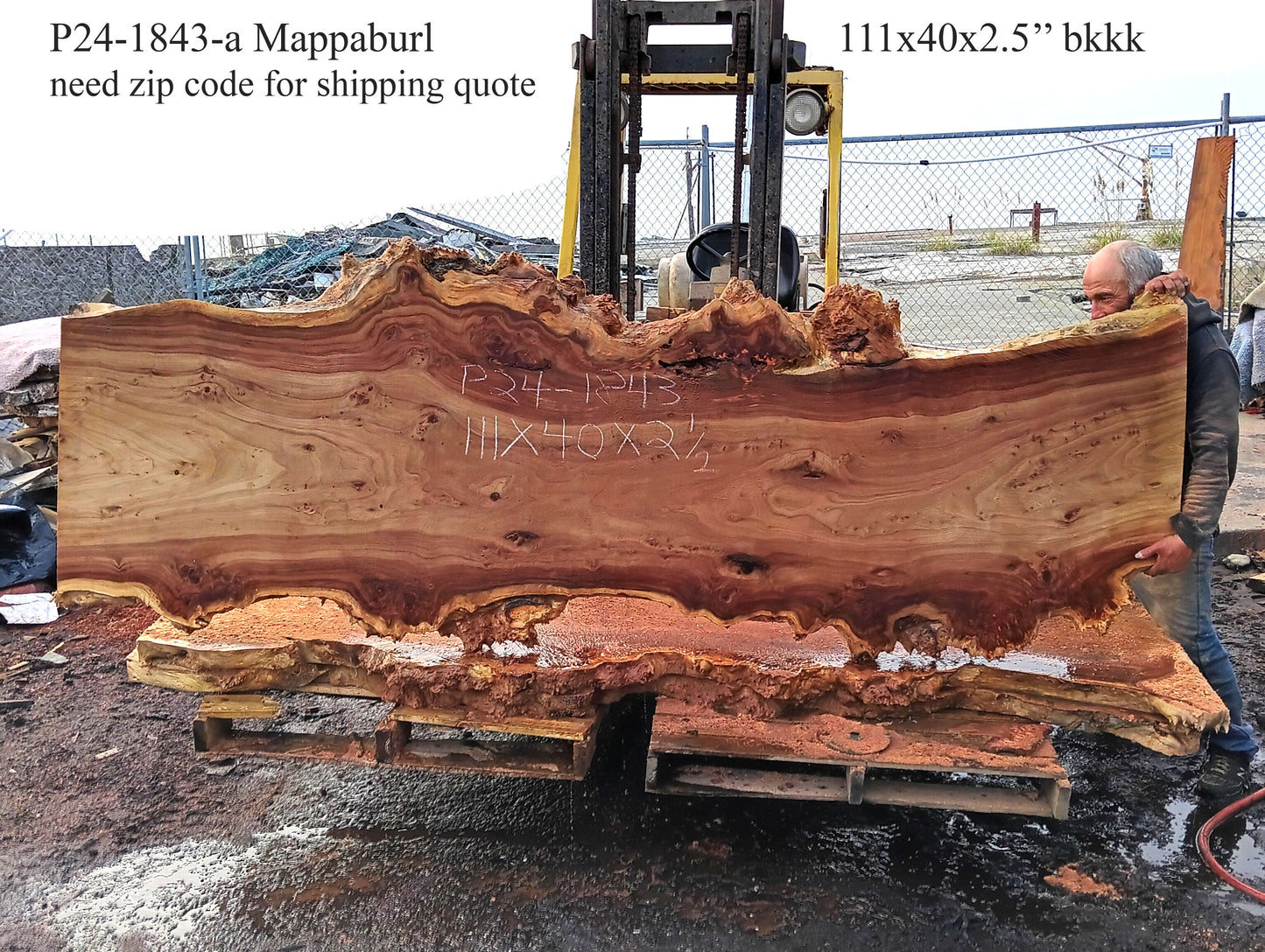 Mappa Burl Slab | Burl | Dining Table | P24-1843