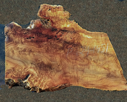 Mappa Burl | Craft Woods | DIY | River Table | P24-1962