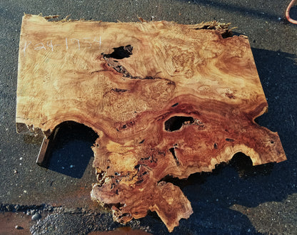 Mappa Burl | Bar | Dining Table | River Table | P24-1959