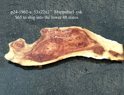 MappaBurl | Poplar | Burl Slab | River Table | P24-1962