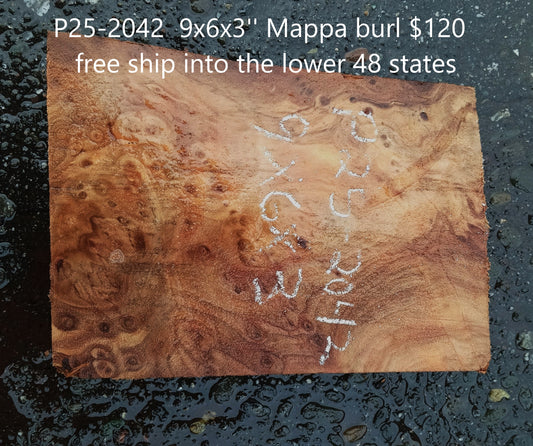 Poplar Burl Blank | Turning Block | DIY Crafts | P24-2042