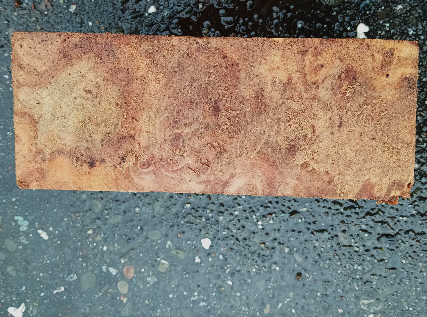 Poplar Burl Blank | Turning Block | DIY Crafts | P24-2042