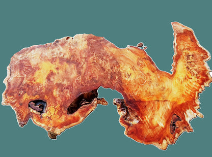 Poplar Burl Slab | Mappa Burl Slab |  DIY | Craft Wood |Table| P25-2181