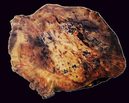 Poplar Burl Slab | DIY | Craft Wood |Table| P26-3534