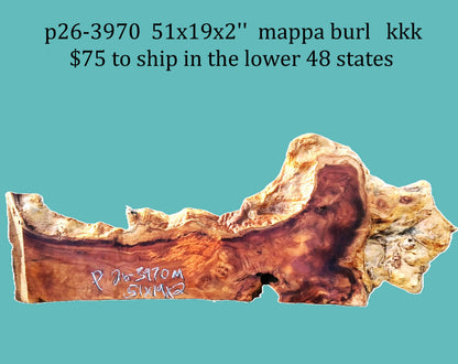 Poplar Burl Slab | Mappa Burl  | DIY | Craft Wood |  River Table | Headboard | P26-3970