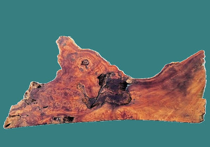 Poplar Burl Slab | Mappa Burl  | DIY | Craft Wood |  River Table | Headboard | P26-4003