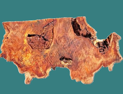Poplar Burl Slab | Mappa Burl Slab |  DIY | Craft Wood |Table| P26-4006