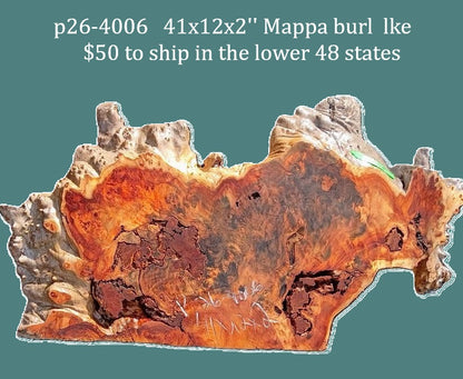 Poplar Burl Slab | Mappa Burl Slab |  DIY | Craft Wood |Table| P26-4006