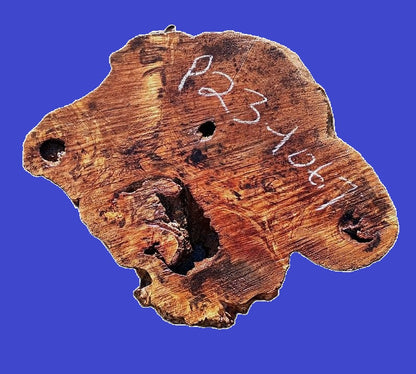 Poplar/Cotton Wood | Craft Wood| DIY | River Table | P23-1067