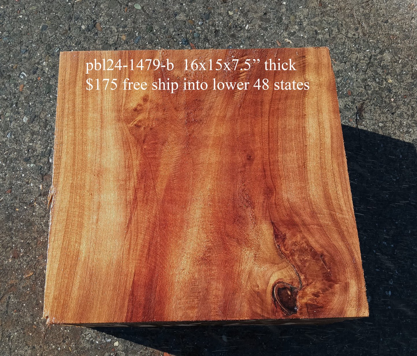 Poplar Block | Turning | DIY Craft Wood | P24-1479