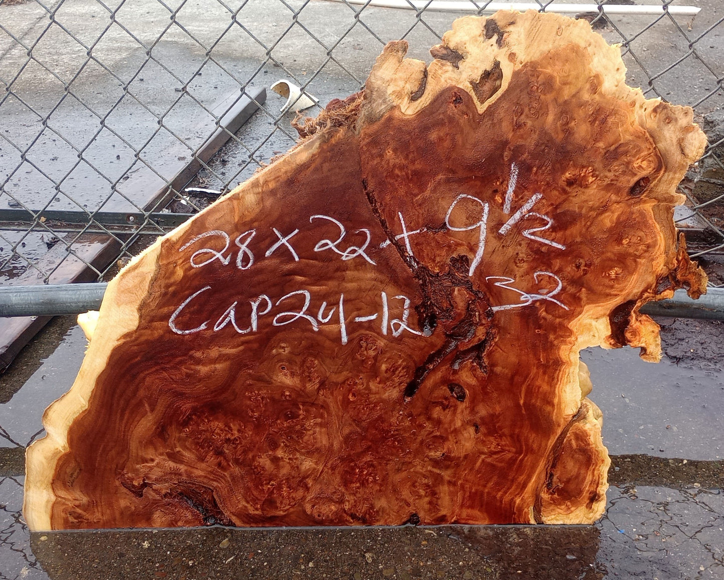 Mappa Burl | Poplar Cap | Wood Turning | DIY crafts | pcap24-1232