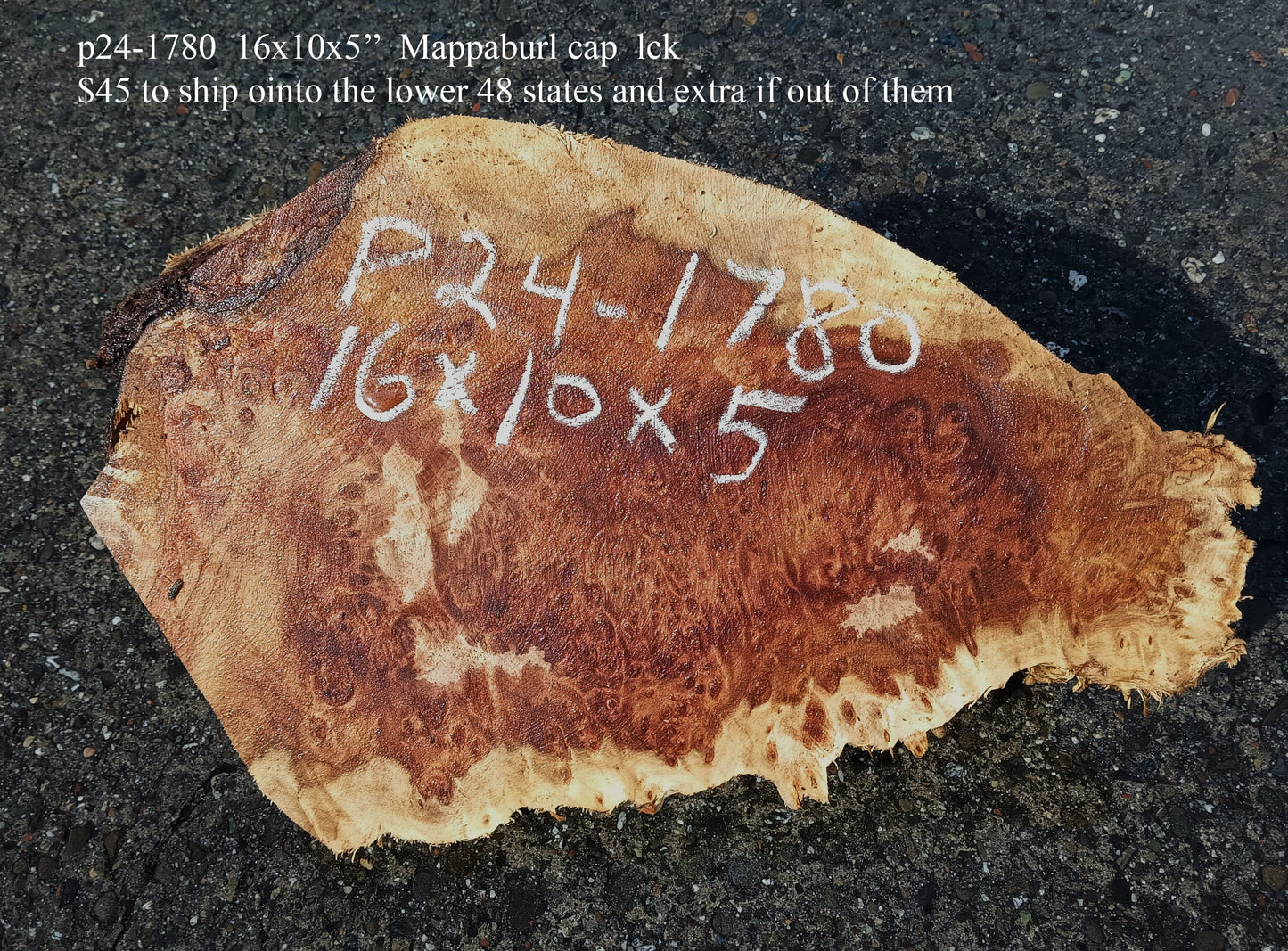 Mappa Burl Cap | Craft Wood | DIY | Burl Slab | P24-1780