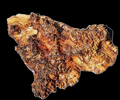 Mappa Burl Cap | Bowl Turning | Craft Wood | DIY wood crafts | PCAP24-1959