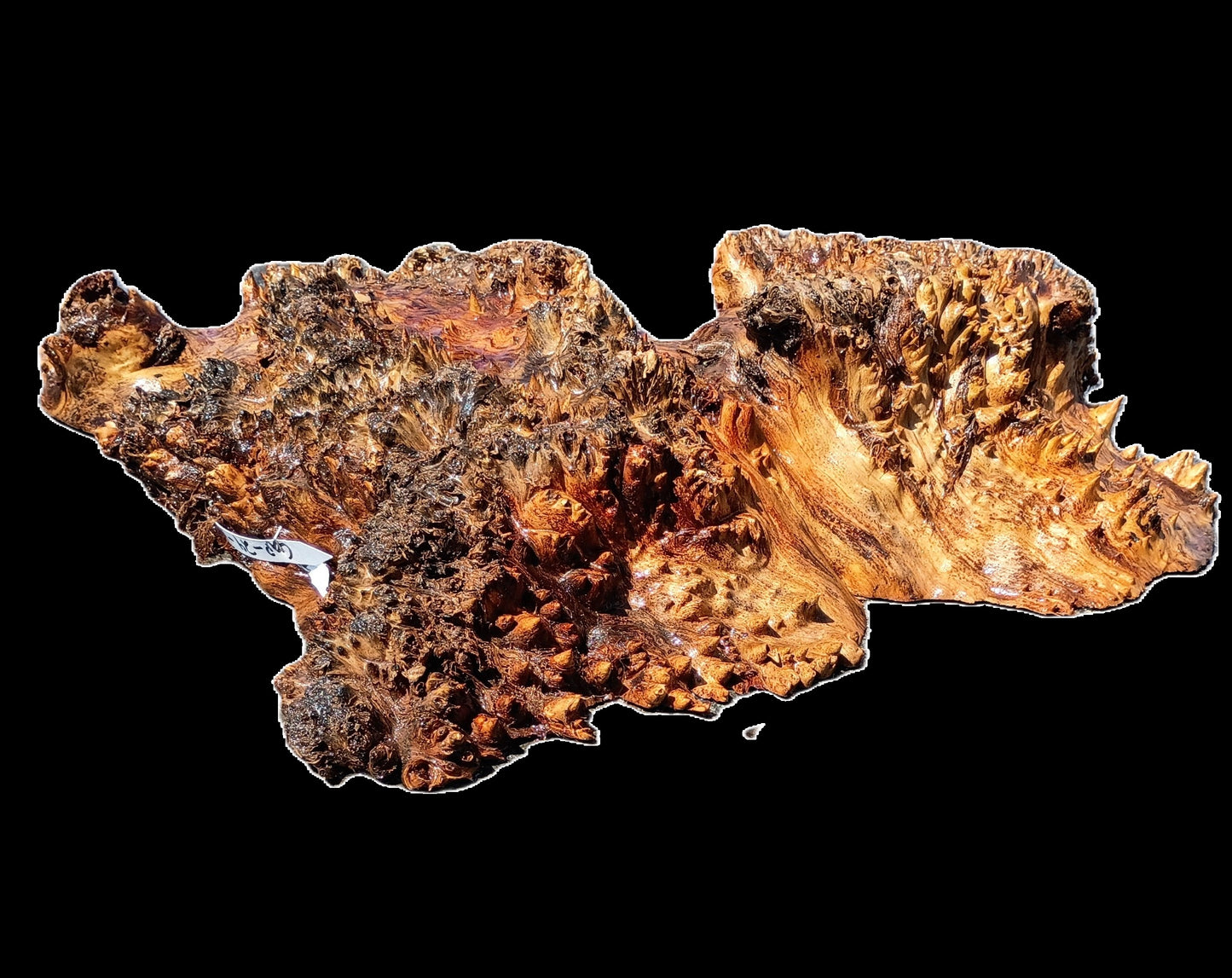 Mappa Burl Cap | Bowl Turning | Craft Wood | DIY wood crafts | PCAP24-1959
