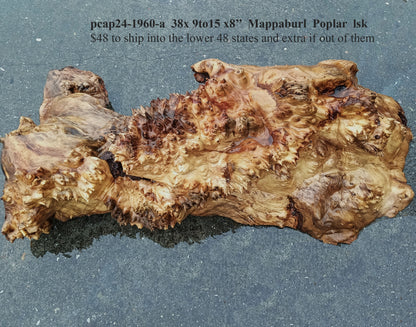 Poplar Burl Cap | Turning Wood | Craft Wood | P24-1960