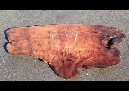 Redwood Burl | DIY Craft Wood | Epoxy Table | R-169