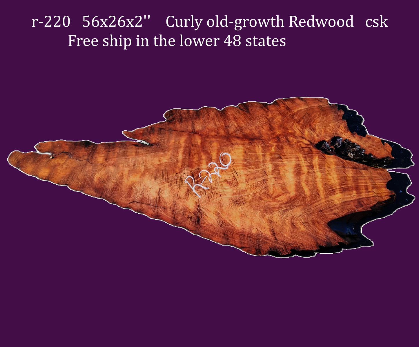 Redwood burl slab | DIY | burl table | river table | craft wood | r220