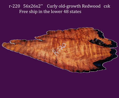 Redwood burl slab | DIY | burl table | river table | craft wood | r220