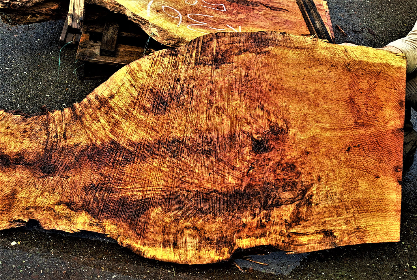 lace burl redwood l river table | wood turning | live edge slab | r-362