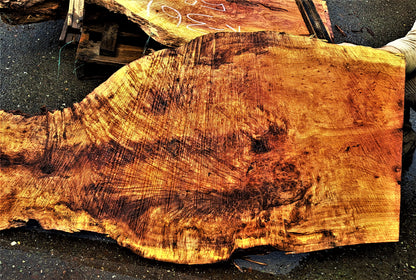 lace burl redwood l river table | wood turning | live edge slab | r-362