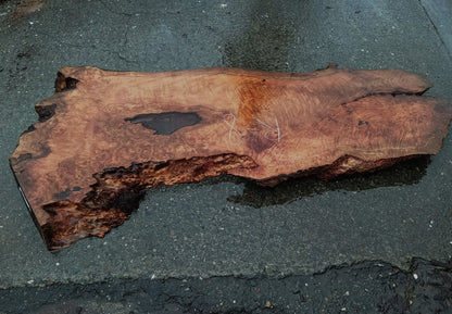 Lace Burl Slab | Redwood | Table | R-8