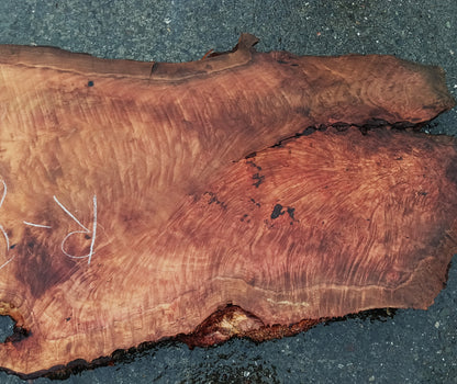 Lace Burl Slab | Redwood | Table | R-8