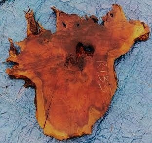 Redwood burl slab | DIY | Headboard| river table | R133