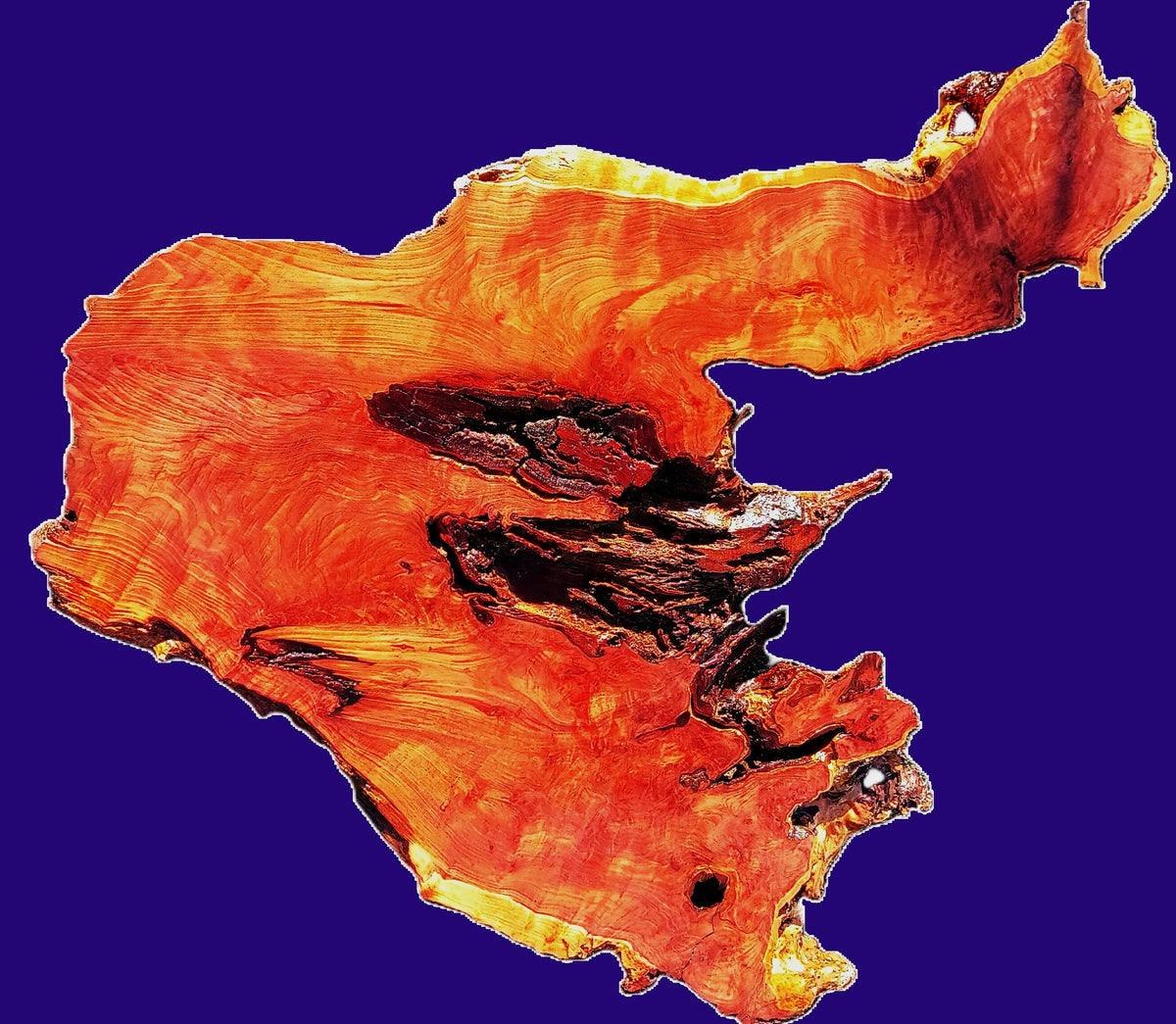 Redwood Burl | DIY | Craft Wood | River Table | R21-0069