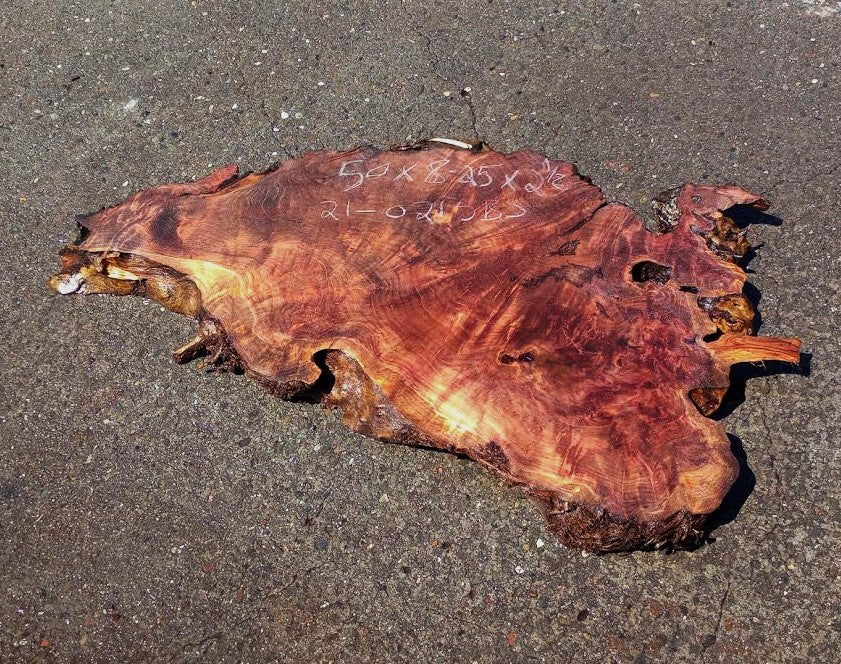 Redwood burl slab | Burl slab | Epoxy River Table | DIY Wood | r21-0251