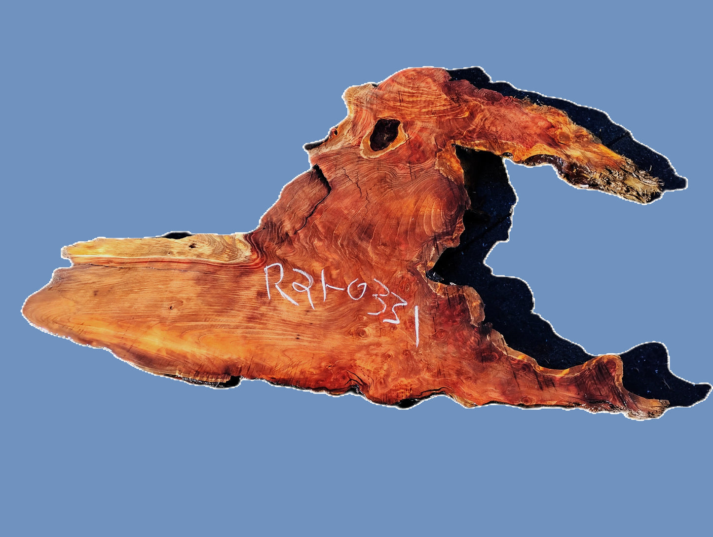Redwood burl slab | DIY | burl table | river table | craft wood | r21-0331