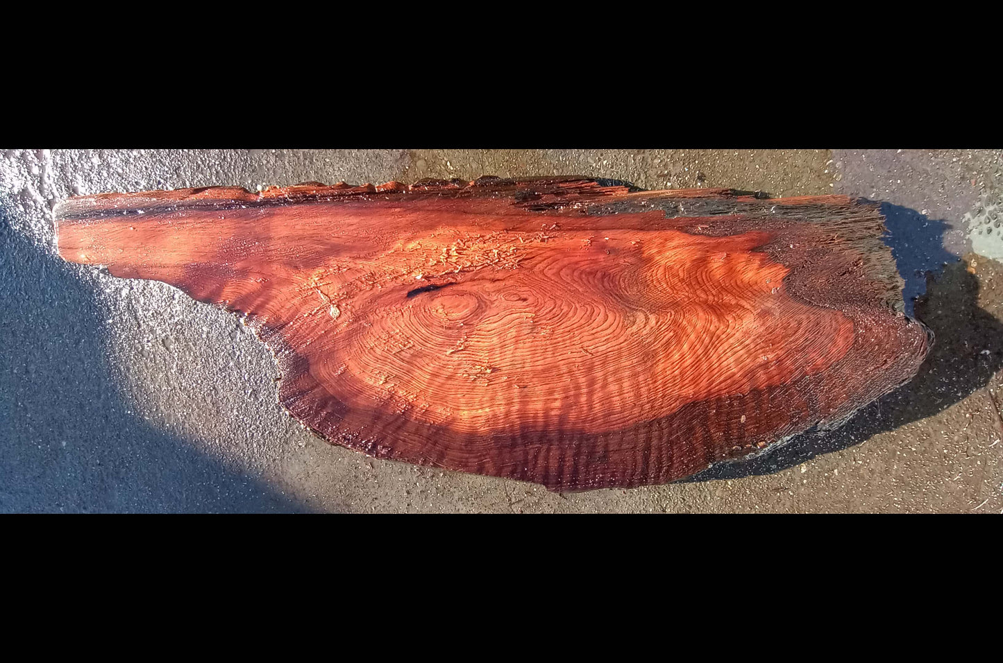 Curly Redwood Slab | Table | Live Edge | DIY | r21-0336