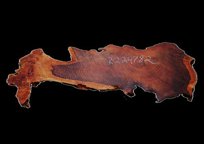 Redwood Burl| DIY | Craft Wood | River Table | R22-4782