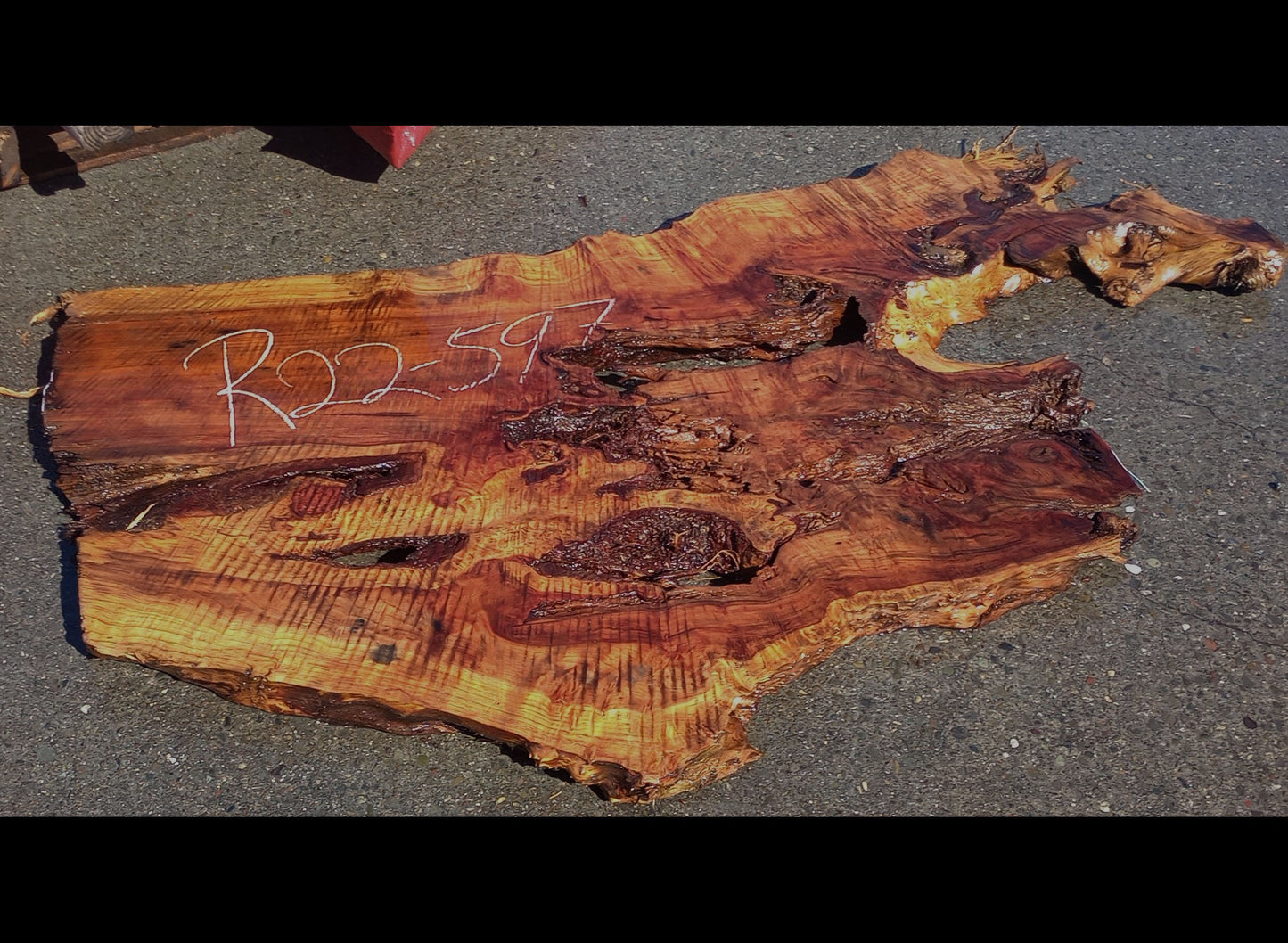 Redwood Burl Slab | Rustic Table | Epoxy River Table | DIY Crafts | r23-597