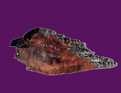 Redwood burl slab | DIY | burl table | river table | craft wood | r220