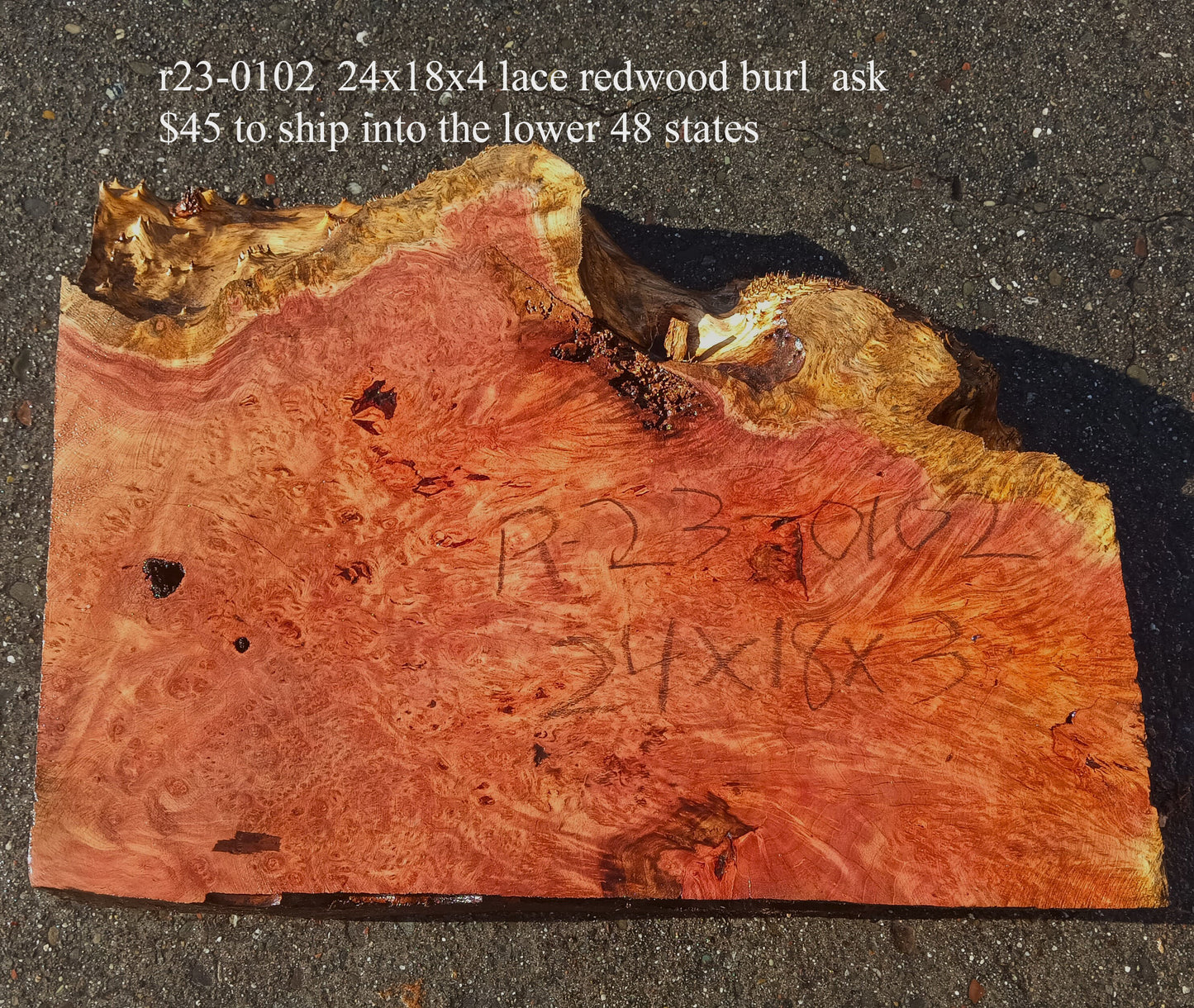 Lace Burl Block | Redwood | Turning Block | r23-0102