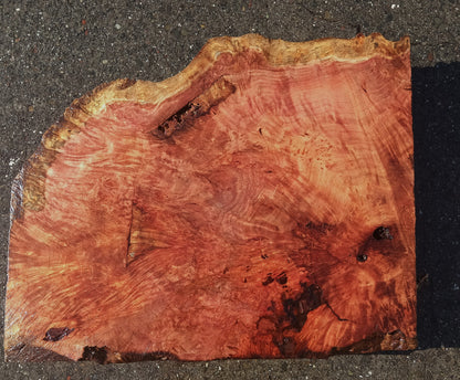 Lace Burl Block | Redwood | Turning Block | r23-0102