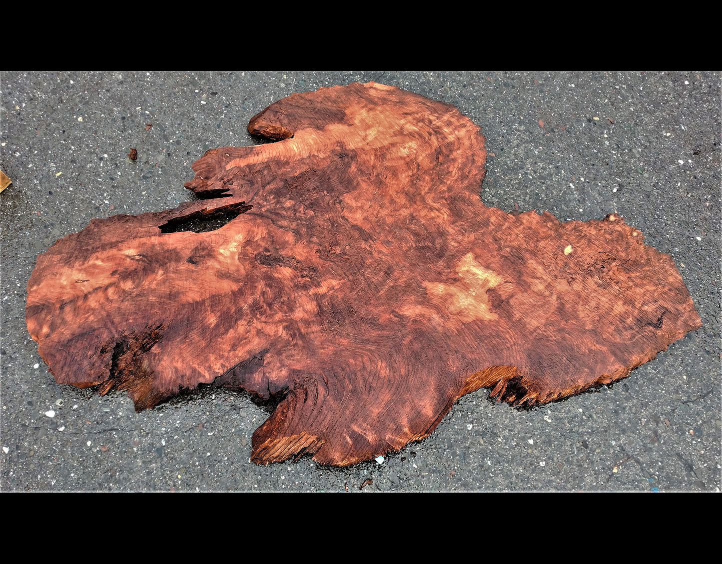 redwood burl | epoxy river table | DIY wood crafts | table |  rt23-0245