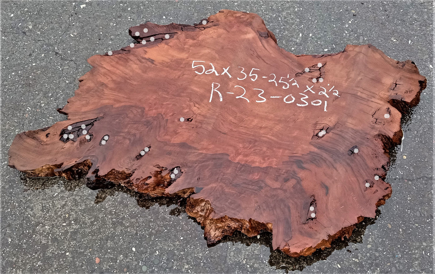 Redwood burl | live edge slab | DIY wood crafts | burl table | r23-0301