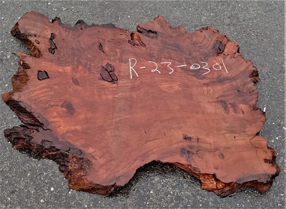Redwood burl | live edge slab | DIY wood crafts | burl table | r23-0301