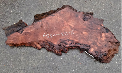 Redwood burl | live edge slab | DIY wood crafts | burl table | r23-0300