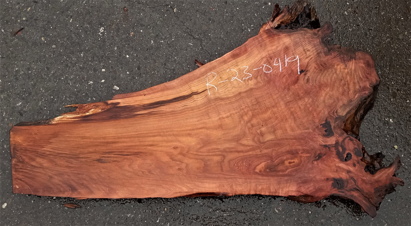 Redwood burl slab | live edge | DIY | river table | headboard | r23-0419