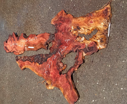 Redwood burl | live edge | DIY | epoxy river table | burl | r23-0338