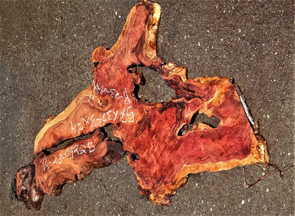 Redwood burl | live edge | DIY | epoxy river table | burl | r23-0338