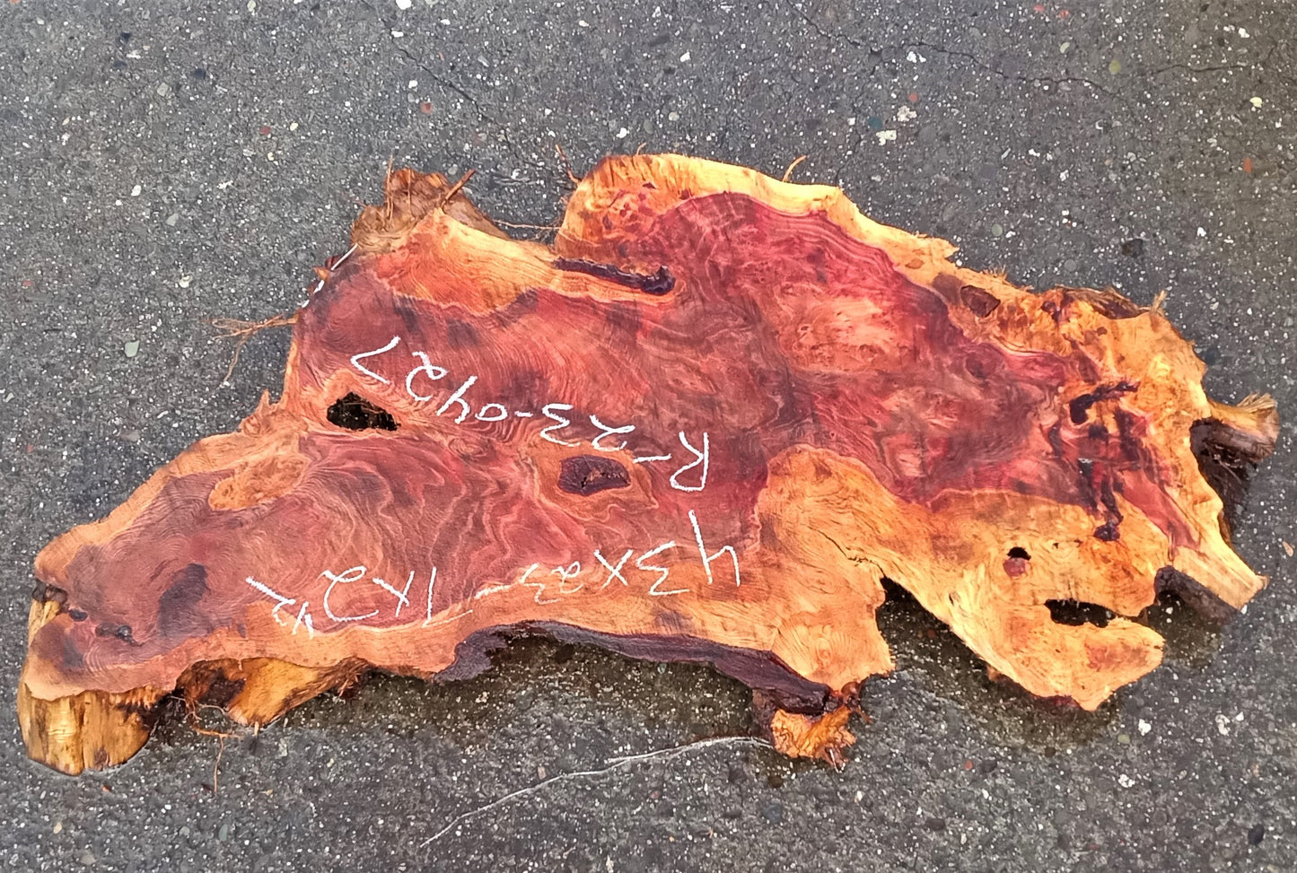 Redwood burl slab | live edge | DIY | river table | burl table | r23-0427